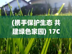 (携手保护生态 共建绿色家园) 17C一起草：携手共创绿色生态，打造更加美好的环境