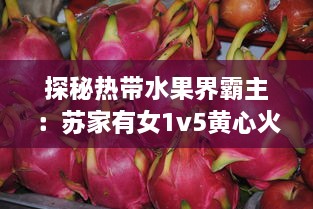 探秘热带水果界霸主：苏家有女1v5黄心火龙果，带你领略独特魅力