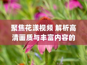 聚焦花漾视频 解析高清画质与丰富内容的完美融合，赋予生活更多色彩 如何打造视觉盛宴 v7.9.2下载