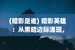 (暗影是谁) 暗影英雄：从黑暗边际涌现，以寂静之力保护世界的无名勇士