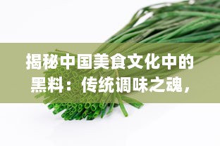 揭秘中国美食文化中的黑料：传统调味之魂，厨房神秘利器的传承与创新 v6.9.8下载