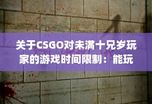 关于CSGO对未满十兄岁玩家的游戏时间限制：能玩多久及其潜在影响 v4.1.8下载