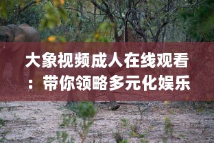 大象视频成人在线观看：带你领略多元化娱乐新体验，探索丰富多彩的成人教育视界 v5.9.9下载