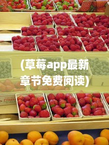 (草莓app最新章节免费阅读) 草莓APP：打破物理距离，实现音乐跨界交流的全新平台