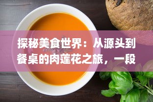 探秘美食世界：从源头到餐桌的肉莲花之旅，一段揭示中国传统烹饪艺术的美味探索