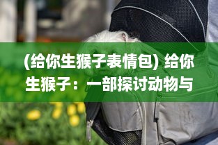 (给你生猴子表情包) 给你生猴子：一部探讨动物与人类关系、关爱与责任的深情故事