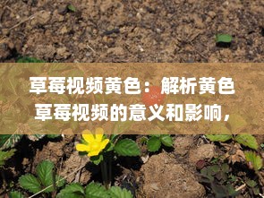 草莓视频黄色：解析黄色草莓视频的意义和影响，及其在娱乐行业中的独特地位