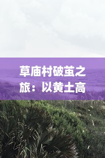 草庙村破茧之旅：以黄土高坡的长留修仙传为探索，揭秘中国农村传统信仰文化