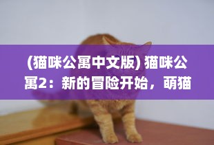 (猫咪公寓中文版) 猫咪公寓2：新的冒险开始，萌猫们的奇妙生活继续展开