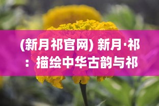 (新月祁官网) 新月·祁：描绘中华古韵与祁门红叶交织的美丽新篇章