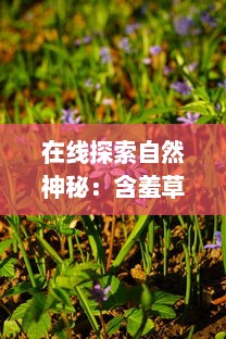 在线探索自然神秘：含羞草的生长过程与科学解读 v1.3.6下载