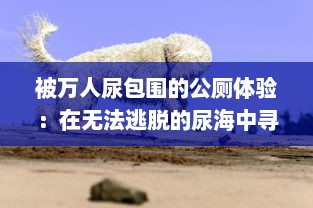 被万人尿包围的公厕体验：在无法逃脱的尿海中寻求生存的荒诞挑战