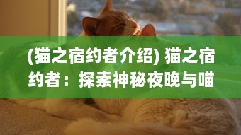 (猫之宿约者介绍) 猫之宿约者：探索神秘夜晚与喵星人的浪漫邂逅与不解之缘