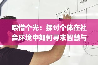 喂借个光：探讨个体在社会环境中如何寻求智慧与成长的启示之创意之路