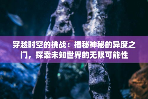 穿越时空的挑战：揭秘神秘的异度之门，探索未知世界的无限可能性