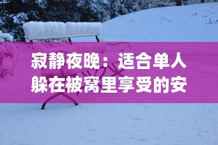 寂静夜晚：适合单人躲在被窝里享受的安静、温暖和自我思考的深夜好书推荐 v5.3.8下载