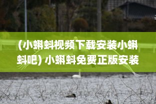 (小蝌蚪视频下载安装小蝌蚪吧) 小蝌蚪免费正版安装 完美解决观看障碍，畅享无限视频资源。