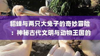 貂蝉与两只大兔子的奇妙冒险：神秘古代文明与动物王国的奇幻动画片