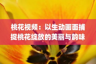 桃花视频：以生动画面捕捉桃花绽放的美丽与韵味，为您带来视觉与感觉的双重享受 v3.9.5下载