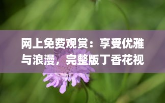 网上免费观赏：享受优雅与浪漫，完整版丁香花视频在线播放，靠近大自然的桥梁