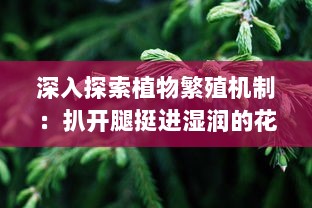 深入探索植物繁殖机制：扒开腿挺进湿润的花苞高清视频展示