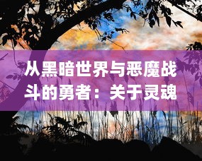 从黑暗世界与恶魔战斗的勇者：关于灵魂猎人的一生追踪与深度解析