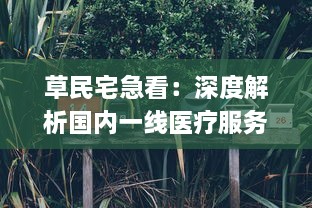 草民宅急看：深度解析国内一线医疗服务在日常生活中的实际应用与普及推广方式