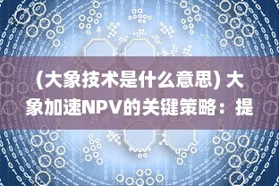 (大象技术是什么意思) 大象加速NPV的关键策略：提升企业净现值的有效途径与技巧