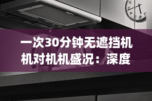 一次30分钟无遮挡机机对机机盛况：深度解析激烈竞争中的技术策略和运行效率