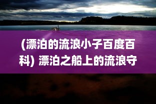 (漂泊的流浪小子百度百科) 漂泊之船上的流浪守护者：勇往直前，描绘生活全貌的无畏旅程