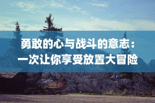 勇敢的心与战斗的意志：一次让你享受放置大冒险之旅的精彩冒险游戏解析