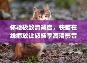 体验极致流畅度，快猫在线播放让您畅享高清影音视听享受