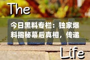 今日黑料专栏：独家爆料揭秘幕后真相，传递正能量启示生活智慧