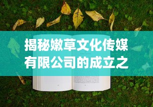 揭秘嫩草文化传媒有限公司的成立之路：时间、历程与未来发展展望 v2.7.3下载