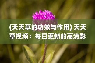 (天天草的功效与作用) 天天草视频：每日更新的高清影视内容，打造您的专属视听享受