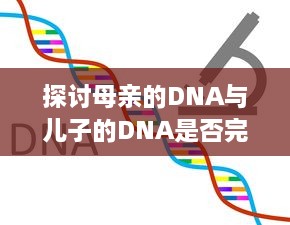 探讨母亲的DNA与儿子的DNA是否完全相同：遗传学与家庭关系的精细解读