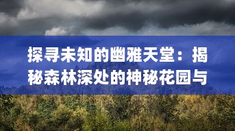 探寻未知的幽雅天堂：揭秘森林深处的神秘花园与其隐藏的神奇生态世界