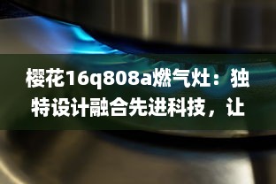 樱花16q808a燃气灶：独特设计融合先进科技，让烹饪过程更加便捷流畅