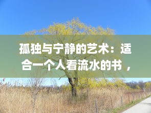 孤独与宁静的艺术：适合一个人看流水的书 ，一种独享自然与内心宁静世界的阅读体验