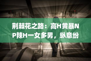 荆棘花之路：高H黄暴NP辣H一女多男，纵意纷纭情感游戏