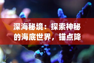 深海秘境：探索神秘的海底世界，锚点降临带你体验深海科学的奇妙旅程