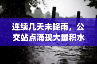 连续几天未降雨，公交站点涌现大量积水，市民出行公交车遭遇'水困'问题急需解决