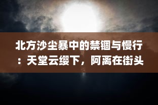 北方沙尘暴中的禁锢与慢行：天堂云缨下，阿离在街头巡逻救援的故事 v3.7.2下载