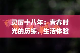 灵历十八年：青春时光的历练，生活体验的沉淀和心灵成长的见证