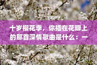 十岁樱花季，你插在花瓣上的那首深情歌曲是什么：一段青春记忆的音符流转