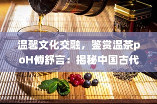 温馨文化交融，鉴赏温茶poH傅舒言：揭秘中国古代茶文化沿革与现代演变 v2.2.0下载