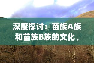 深度探讨：苗族A族和苗族B族的文化、历史和生活习惯有哪些主要区别 v7.4.8下载