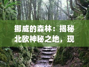 挪威的森林：揭秘北欧神秘之地，现场直击视频令人惊叹的一段片段 v7.3.1下载