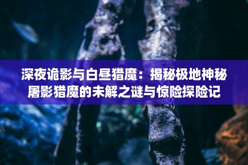 深夜诡影与白昼猎魔：揭秘极地神秘屠影猎魔的未解之谜与惊险探险记