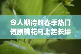 令人期待的春季热门短剧桃花马上起长缨 完整版免费在线观看，感受古风情缘的唯美故事 v5.8.3下载